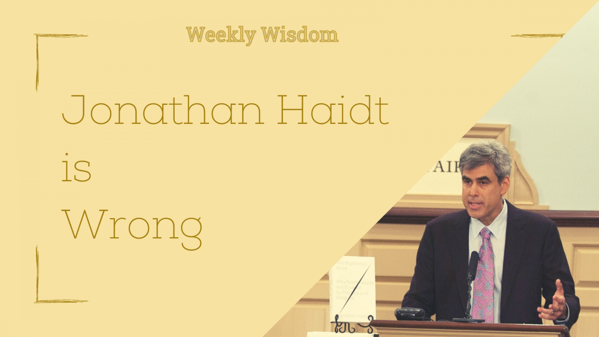 Title of the post with a triangular cutout of a picture of Jonathan Haidt giving a speech.