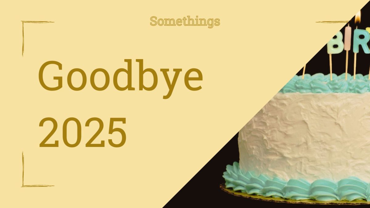 Goodbye 2025 is large heading on the right. Triangular cutout of a picture of a cake on the right.